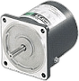 Reversible Motors & Gear Motors