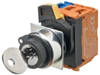 Omron A22NK-2RM-01BA-P111