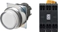 A22NL-RPM-TWA-P101-WC