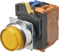 A22NL-RPM-TYA-G202-YC