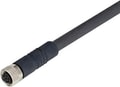 D41D-8P5-CFM8-702M
