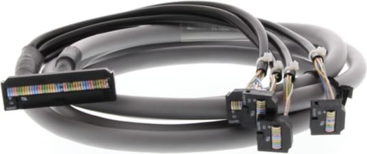 Omron P2RV-4-300C