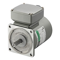  KIIS Series Three-Phase AC Motors 