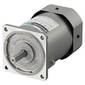 Single-Phase AC Induction Motors