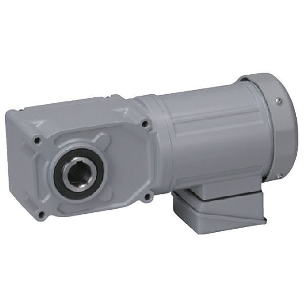  Brother Gearmotor Single-Phase AC Gear Motors 