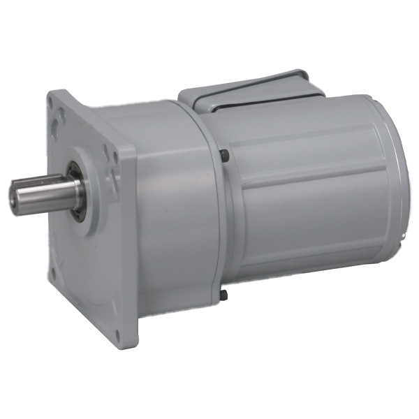 Oriental Motor  Brother Gearmotor Three-Phase AC Gear Motors 