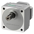 BLM6200S-100A