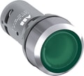 CP1-31G-10