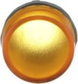 ML1-100Y