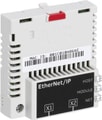 FEIP-21