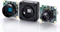 STC-SC33USB-BLL