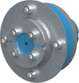RSXG100431021