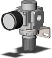 AR25-02BG-R-B