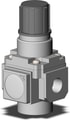 AR25-N02E-RYZ-B