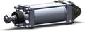 CA2D100TN-150KZ