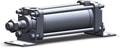CA2L50-100NZ