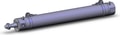 CDBG1BA32-250-HN-M9BL3-C