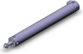 CDBG1BN32-250-HN