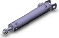CDBG1DA25-100-HN