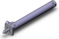 CDBG1FA20-150-RL