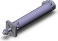 CDBG1FA25-100-HN