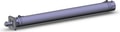 CDBG1FA50-600-HL-M9PSAPC-C