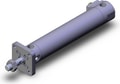 CDBG1FN25-100-HN
