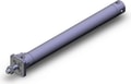 CDBG1FN25-250-RN