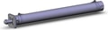CDBG1FN50-500-HN-M9BZ-C