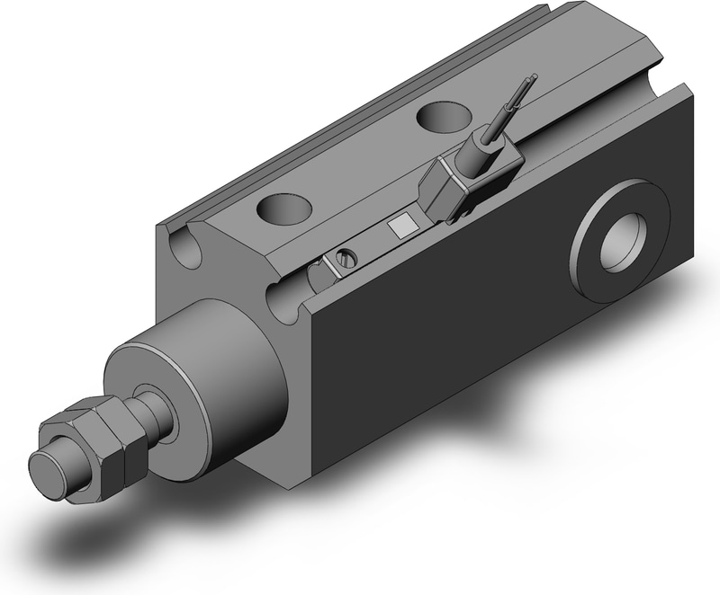 SMC CDJP2D16-10D-M9BWVLS