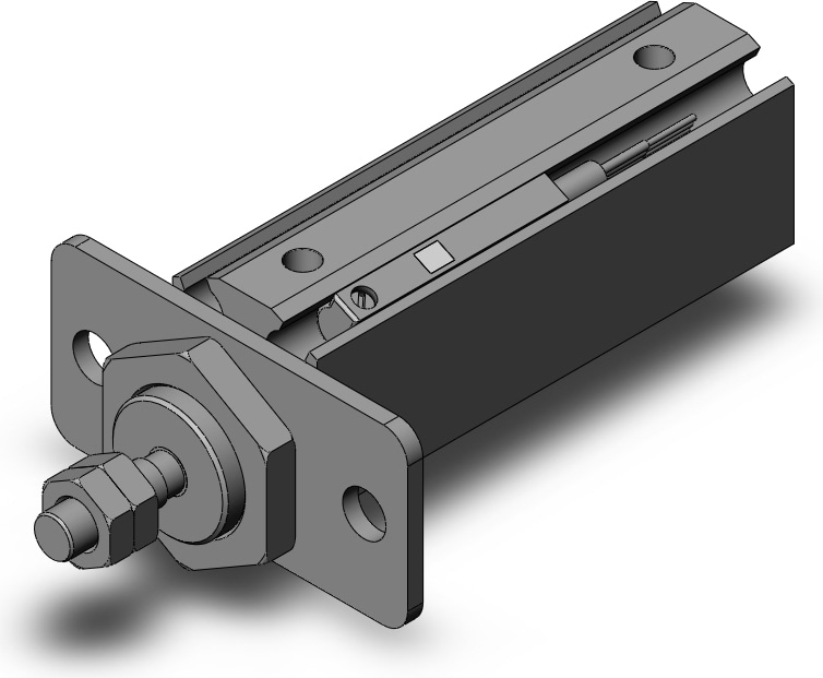 SMC CDJP2F10-25D-M9PSAPCS