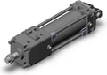 CDLA2D80-150-D-M9BAL
