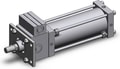 CDLSF125-300-M9BSAPC4-DM9B