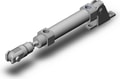 CDM2E20-50Z-NW-M9BVL