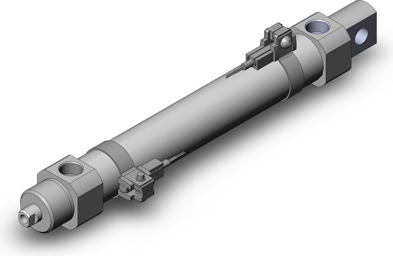 SMC CDM2E20TN-100FZ-M9BZ