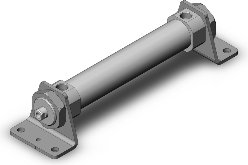 SMC CDM2L25TN-100FZ-M9PWV