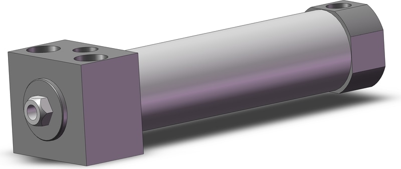 SMC CDM2RKA40-100FZ