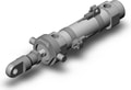 CDM2U25-50Z-V-M9BWSAPC