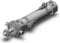 CDM2UZ25-75AZ-M9BWL