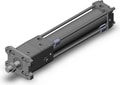 CDNA2F50-200-D-M9BWSDPC