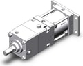 CDNSG125-100-D-M9PSAPC