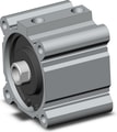 CDQ2A100-30DCZ-M9BWSDPC