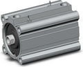 CDQ2A80-100DZ-M9BVSAPC