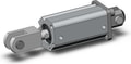CDQ2D25-40DCMZ-W