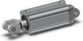 CDQ2D50-100DCMZ-W
