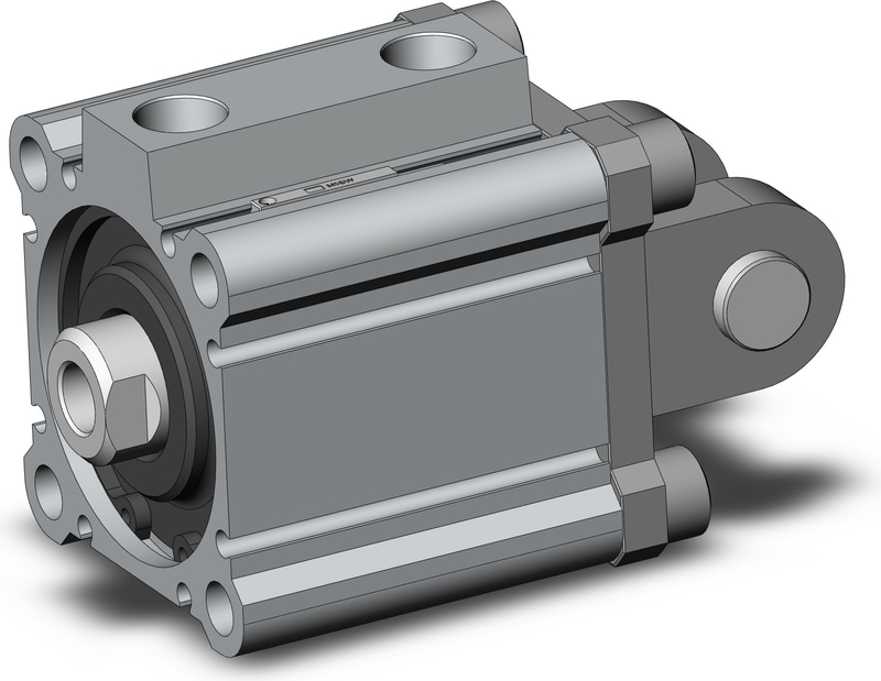 SMC CDQ2D50-20DCZ-M9BWL