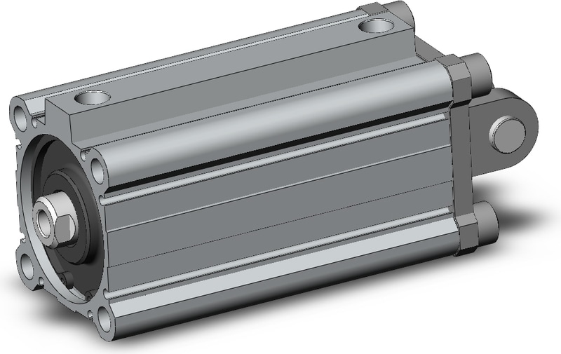SMC CDQ2D63-100DZ-M9BWL