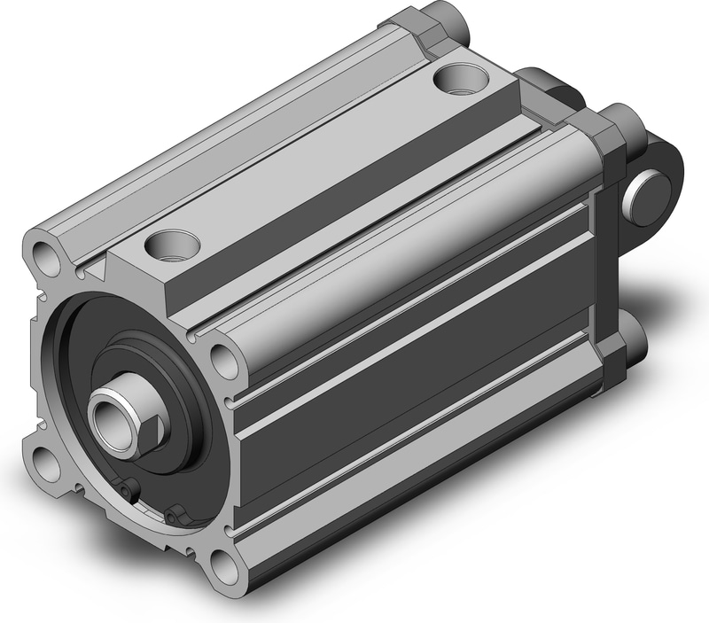 SMC CDQ2D80-100DCZ