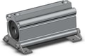 CDQ2L50-100DZ