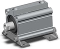 CDQ2L50-50DZ-M9BSAPC